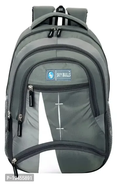 Large 35 L Laptop Backpack LARGE 35 L LAPTOP BACKPACK REFLECTIVE STRIP(GREY) SCHOOL AND COLLAGE BAG  (GREY