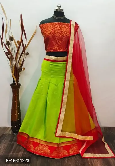 Women's Traditional Printed Lehenga Choli