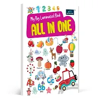 My Big Laminated All In One Books- A Comprehensive Learning Adventure-thumb1