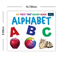 My First Tiny Board Books For Kids- Set Of 10- Alphabet, Birds, Colors, Shapes, Hindi Varnamala, Fruits, Vegetables, Numbers, Wild And Domestic Animals-thumb2