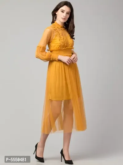 Trendy Lace Net Dresses-thumb3
