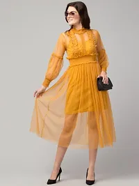 Trendy Lace Net Dresses-thumb3