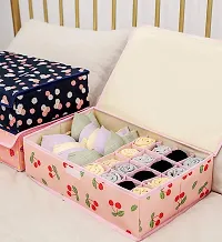 Prextex Innerwear Organizer 16+1 Compartment Non-Smell Non Woven Foldable Fabric Storage Box for Closet - Pink Cherry-thumb2
