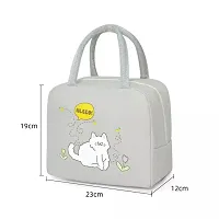 Stardrops Lunch Bag Lunch Box for Women Men Reusable Insulated Lunch Tote Bag, Leakproof Thermal Cooler Sack Food Handbags Case High Capacity for Travel Work School Picnic - Grey Hello Cat-thumb1