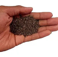 Natural Crushed Sugar-Sized Sand for Aquarium Decoration Fish Tanks and Pondsand  for Terrarium Lawns and Gardens 2 KG-thumb1
