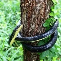 Rubber Snake Toy with Realistic Look for Playset, Pranks, Halloween Party Decoration, Garden Props (28 Inch_Black)-thumb1