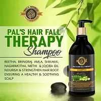 Pal's World Amla Reetha Shikakai Shampoo, With bringraj, Nagarmotha, Methi  Jajoba Oil Ayurvedic Hair Fall Shampoo For Hairfall Control  Strengthen Hair Root For All Hair Types For Women Men - 300 ml-thumb1