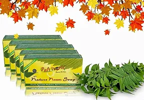 Pal's World Anti Blemishes Nature Neem Herbal Soap (Pack of 5)-thumb1