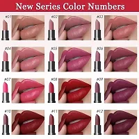 Brown Pink Purple Rose Red Mauve Matte Lipstick Sets for Women-thumb1