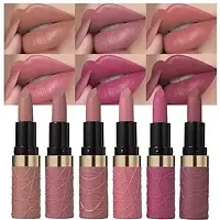 6Pcs Nude Brown Pink Purple Rose Red Mauve Matte Lipstick Sets for Women-thumb1