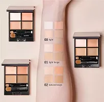 COSME DECORTE Tone Perfecting Palette Concealer 00 01 02 Color-thumb2