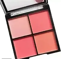 BLUSHER PALLETE 4 IN 1 MATTE ALL SKIN TONE TYPE BLUSHER (MULTICOLOUR)-thumb1