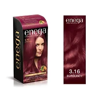 Enega nourishing no ammonia burgundy cream hair color with argon oil green tea extract 120ml-thumb1