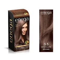 Enega nourishing no ammonia chocolate brown cream hair color with argon oil green tea extract 120ml-thumb1