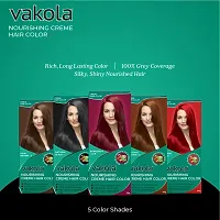 Vakola nourishing  Burgundy cream hair color with rich almond oil  aloe Vera extract - 100ml (Pack of 10)-thumb2