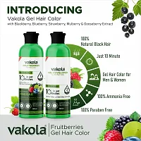 Vakola Fruitberries Natural Black Long Lasting Natural Fruit Vinegar Professional Gel hair Color for Both Men  Women - 500ml x 2 (Natural Black Gel Hair Color  Developer)-thumb4