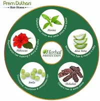 Prem Dulhan Hair Henna Natural Henna Based Hair Color |Natural Brown| -125gm (Pack of 10)-thumb1
