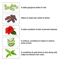 Neera Harbal No Ammonia Long Lasting Natural Henna Based Hair Color for Men And Women 10 GRM (Pack of 50) (Natural Black)-thumb2