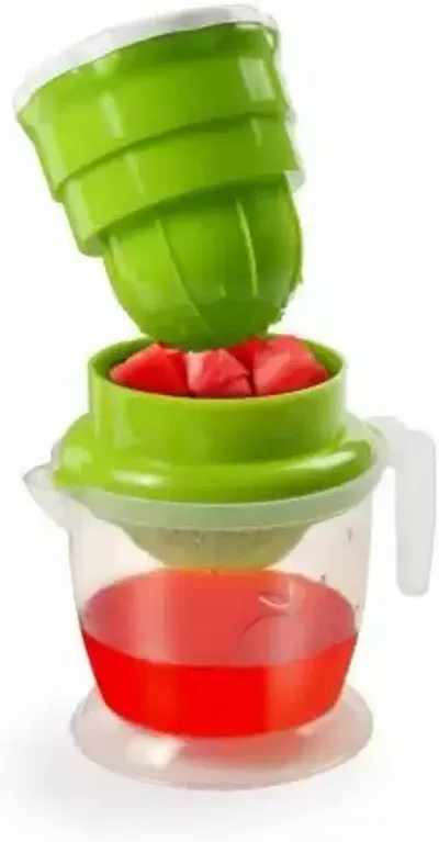 Manual Fruit and Vegetable Juicer