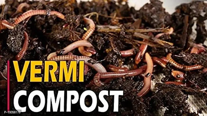 SP Retail Vermi Compost Manure and Compost for Office and home as Vestables growth, Plant growth, Agriculture growth, chemical-free, and environmental friendly (Pack of 1kg )