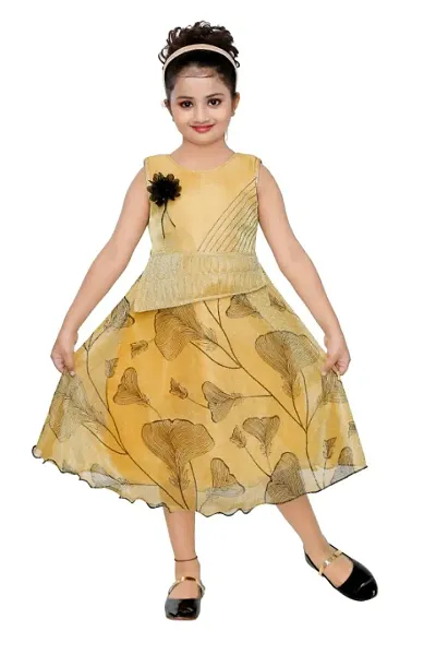 Cute Party Wear Collection For Girls