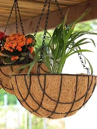 COIRGARDEN-Coir Hanging Basket- Planter Pots Garden Indoor and Outdoor Decoration-6 inch-2 pieces-thumb2