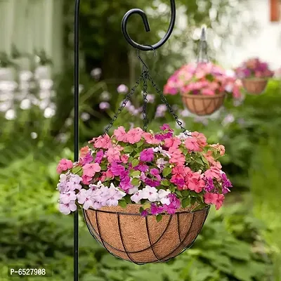 COIRGARDEN-Coir Hanging Basket- Planter Pots Garden Indoor and Outdoor Decoration-6 inch-4 pieces-thumb4