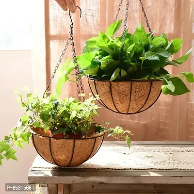 COIRGARDEN-Coir Hanging Basket- Planter Pots Garden Indoor and Outdoor Decoration Water Hanging Baskets- 8 inch- Flower Pots-Pack of 2-Round Basket- Coco Gardening pots-thumb4