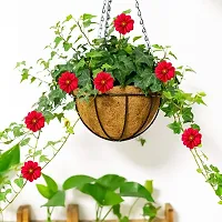 COIRGARDEN-Coir Hanging Basket- Planter Pots with Garden Indoor and Outdoor Decoration Water Hanging Baskets- 8 inch- Flower Pots-Pack of 4-Round Basket- Coco Gardening pots-Metal hanging Basket-thumb2