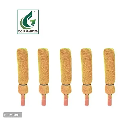 COIRGARDEN &ndash; Coco Coir Pole / Coir Stick For Money Plant &ndash; 1 Feet (Pack of 5)