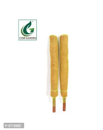 0COIRGARDEN ndash; Coco Coir Pole / Coir Stick For Money Plant ndash; 2 Feet (Pack of 2-thumb0