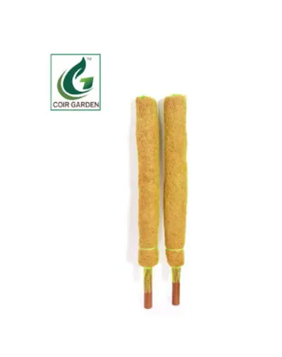 Pole / Coir Stick For Money Plant