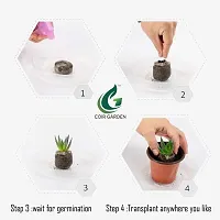 COIRGARDEN &ndash; Coco Coins Seed Germination -Combo(Pack of 100)-thumb3