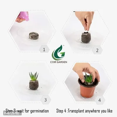 COIRGARDEN &ndash; Coco Coins Seed Germination -Combo(Pack of 100)-thumb4