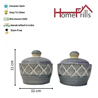 Homefrills Handpainted Multi-Utility Storage Ceramic Jars  Containers with Lid  Ceramic Jars for Kitchen Dining Table  Storage Snacks Jar Set of 2(2 jars with Lid )Colour-Grey-thumb2