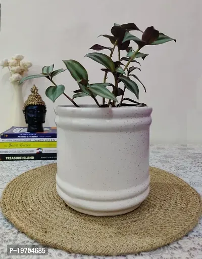 Homefrills Stylish Barrel shape Matte Finish White Ceramic planter Pot  for Indoor  Outdoor Home, Garden, Office Decor ,Balcony Planters Pot Gamla Size-16*16 cm colour-White