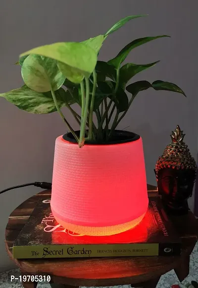 Homefrills LED Flower Pot PEAR with Red Colour Light (Plastic Garden Pot, Indoor Planter, Flower Pot, Home Decor, Garden Decor) 5 inches  LED Planter. (Red Colour Light)Package contains-1 planter with