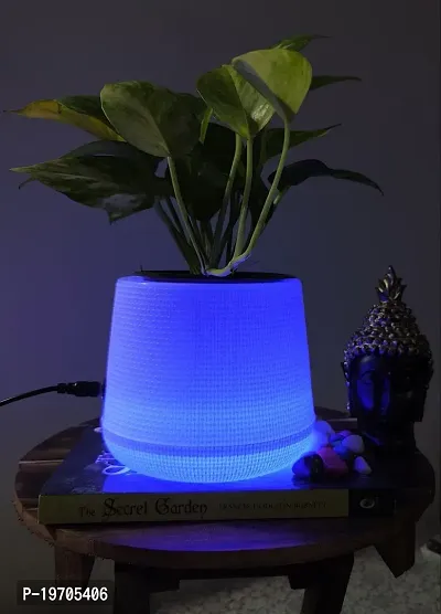 Homefrills LED Flower Pot PEAR with Blue colour Light (Plastic Garden Pot, Indoor Planter, Flower Pot, Home Decor, Garden Decor) 5 inches  LED Planter. (Blue colour Light)Package contains-1 planter wi