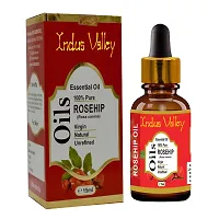 INDUS VALLEY 100% Pure and Natural Rosehip Oil for Hair  Face Care (15ml)-thumb2