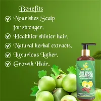 Amla Shikakai Shampoo- Nourishing Long and Strong Hair-thumb2