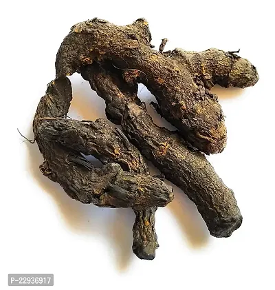 Curcuma Caesia, Black Turmeric, Plant Rhizomes Bulbs To Treat Arthritis, Asthma, And Epilepsy (9 Dried Pieces)