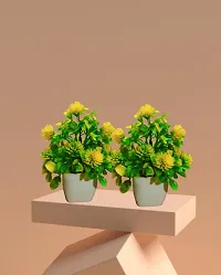 Artificial Plastic Small Indoor Natural Quality Plant -Pack of 2-thumb2