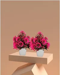 Artificial Plastic Small Indoor Natural Quality Plant -Pack of 2-thumb2