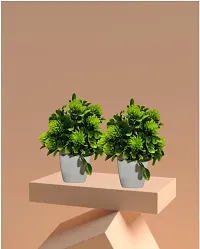 Artificial Plastic Small Indoor Natural Quality Plant -Pack of 2-thumb2