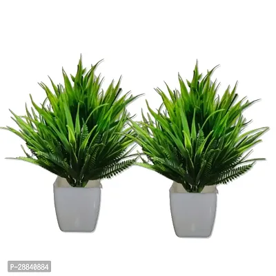 Artificial Plastic Small Indoor Natural Quality Plant -Pack of 2