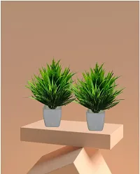 Artificial Plastic Small Indoor Natural Quality Plant -Pack of 2-thumb2