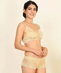 PIBU-Women's Net Bra Panty Set for Women Lingerie Set Sexy Honeymoon Undergarments ( Color : Brown,Red,Pink )( Pack of 3 )( Size :34) Model No : Net SSet-thumb1