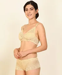PIBU-Women's Net Bra Panty Set for Women Lingerie Set Sexy Honeymoon Undergarments ( Color : Brown,Red,Blue )( Pack of 3 )( Size :36) Model No : Net SSet-thumb2