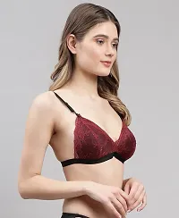 Stylish Women Red, Maroon Net Bra Panty Set - Pack of 2-thumb4