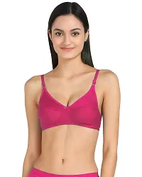 Women T-Shirt Cotton Non Padded Non-Wired Bra (Pack of 1,2,3,5,6) (Multi)-thumb4